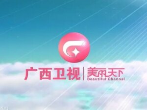 广西卫视伴音
