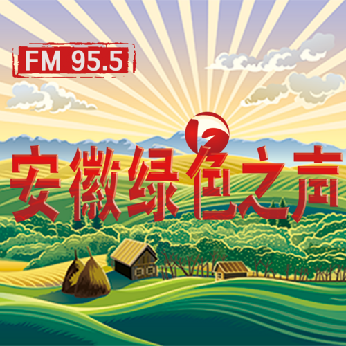 安徽农村广播 高清