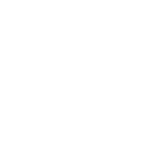 ABSOLUT BELLA