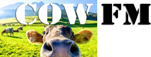 COW FM – Casino – 107.9 FM (MP3)