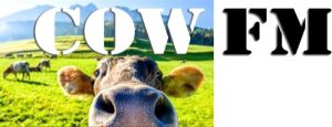COW FM - Casino - 107.9 FM (AAC)