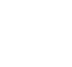Droogies