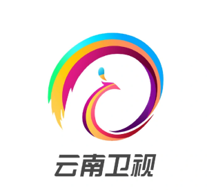 云南卫视伴音