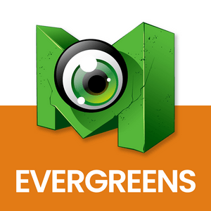 RadioMonster.FM - Evergreens
