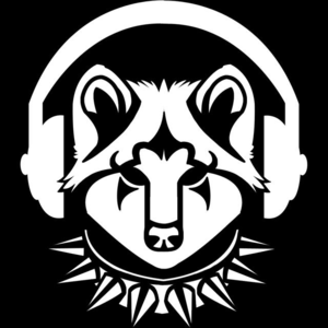 RadioSinnflut