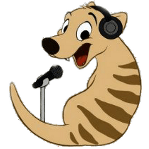 TYGA FM