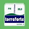 Torre Forte