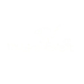 MuzicaDeVest