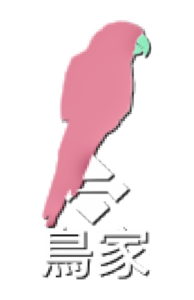 鳥家 BirdHaus Future Media