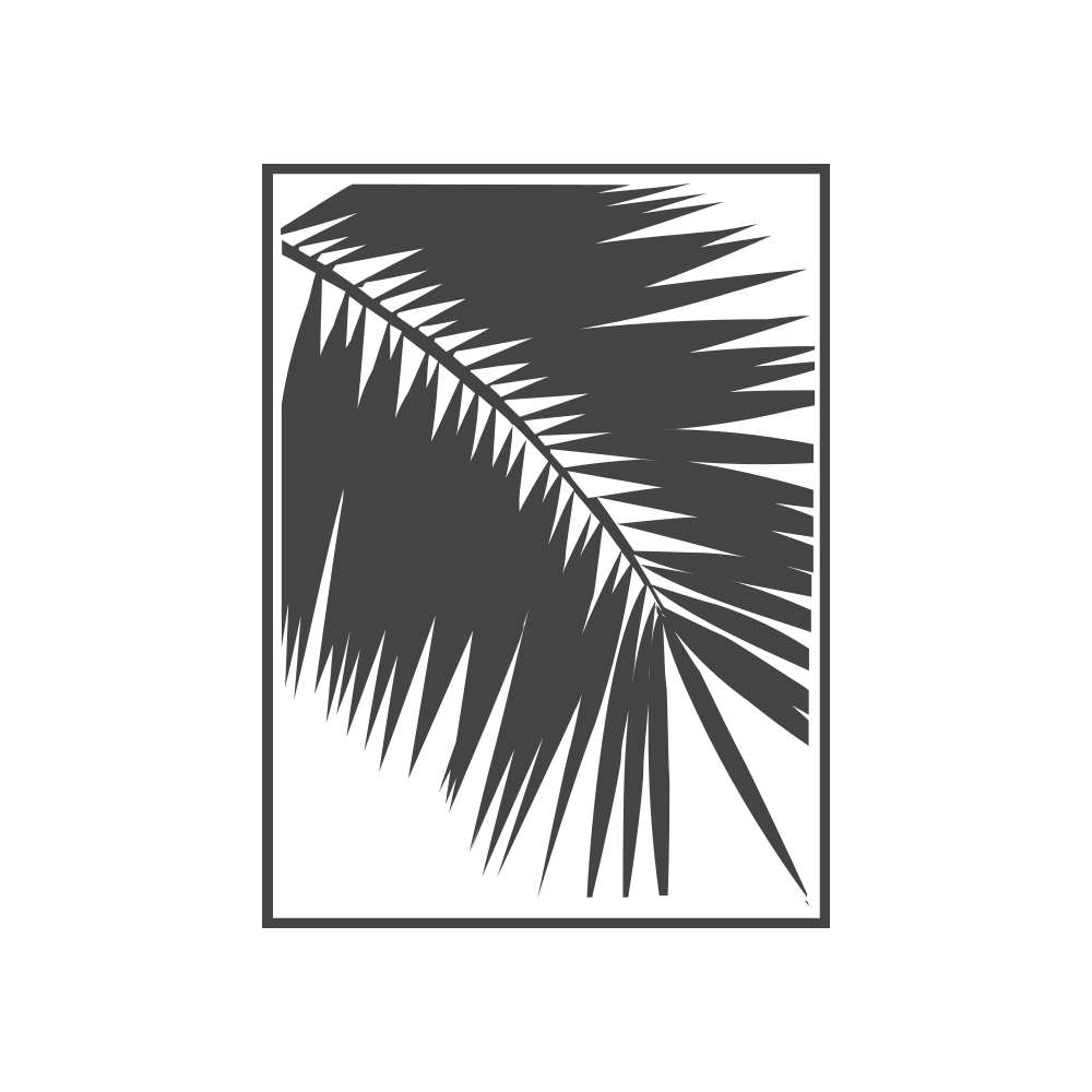 Palmera Blanca radio – Daystream