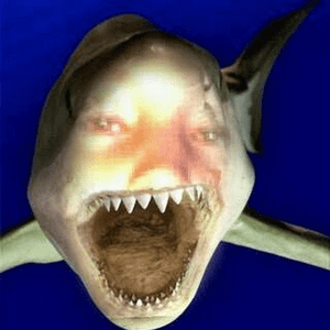 diehais