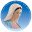 RADIO MARIA USA – CHICAGO