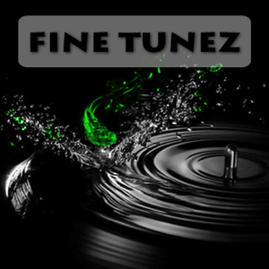 finetunez