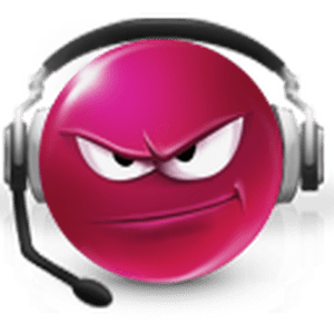 frosch-radio