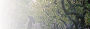 Radio 88 Ga Ga
