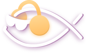 New Life Radio