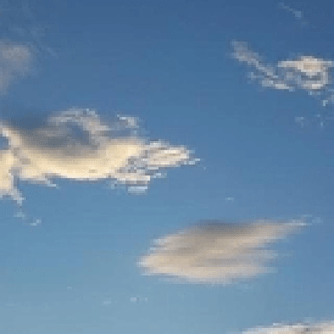 musenhain