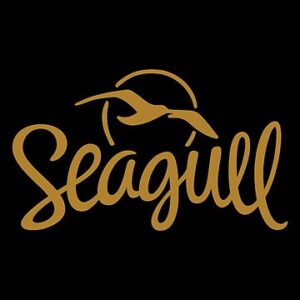The Seagull