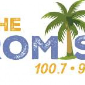 The Promise