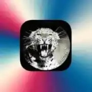 Siruthai FM radio online : Tamil Radio