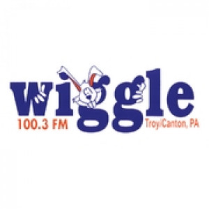 WHGL-FM 100.3 FM