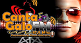Rádio Canta Galo FM