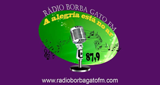 Radio Borba Gato FM