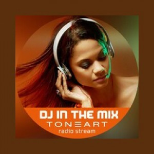 DJ In The Mix