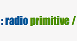 Radio Primitive