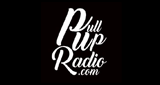 PullUpRadio
