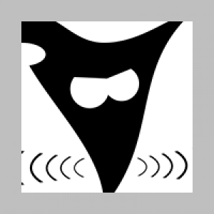 Freies Radio Wiesental Live