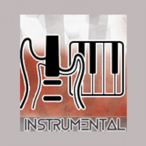RMN Instrumental hits Live