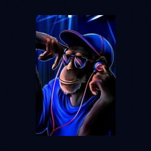 Funky Monkey Radio