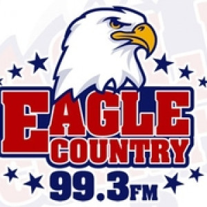 WSCH 99.3 FM